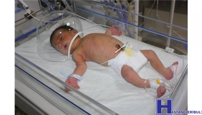 Şammas Vehbi Ekecik Doğum Ve Çocuk Hastalıkları Merkezi Hastanesi
